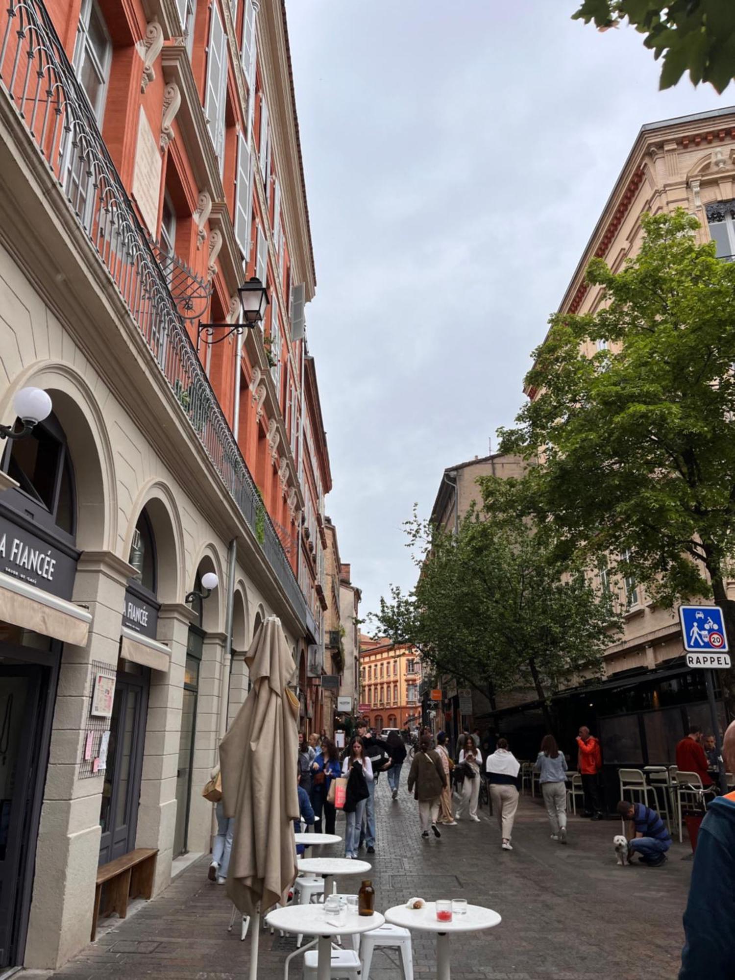 Le Petit Toulousain Chic Toulouse Dış mekan fotoğraf