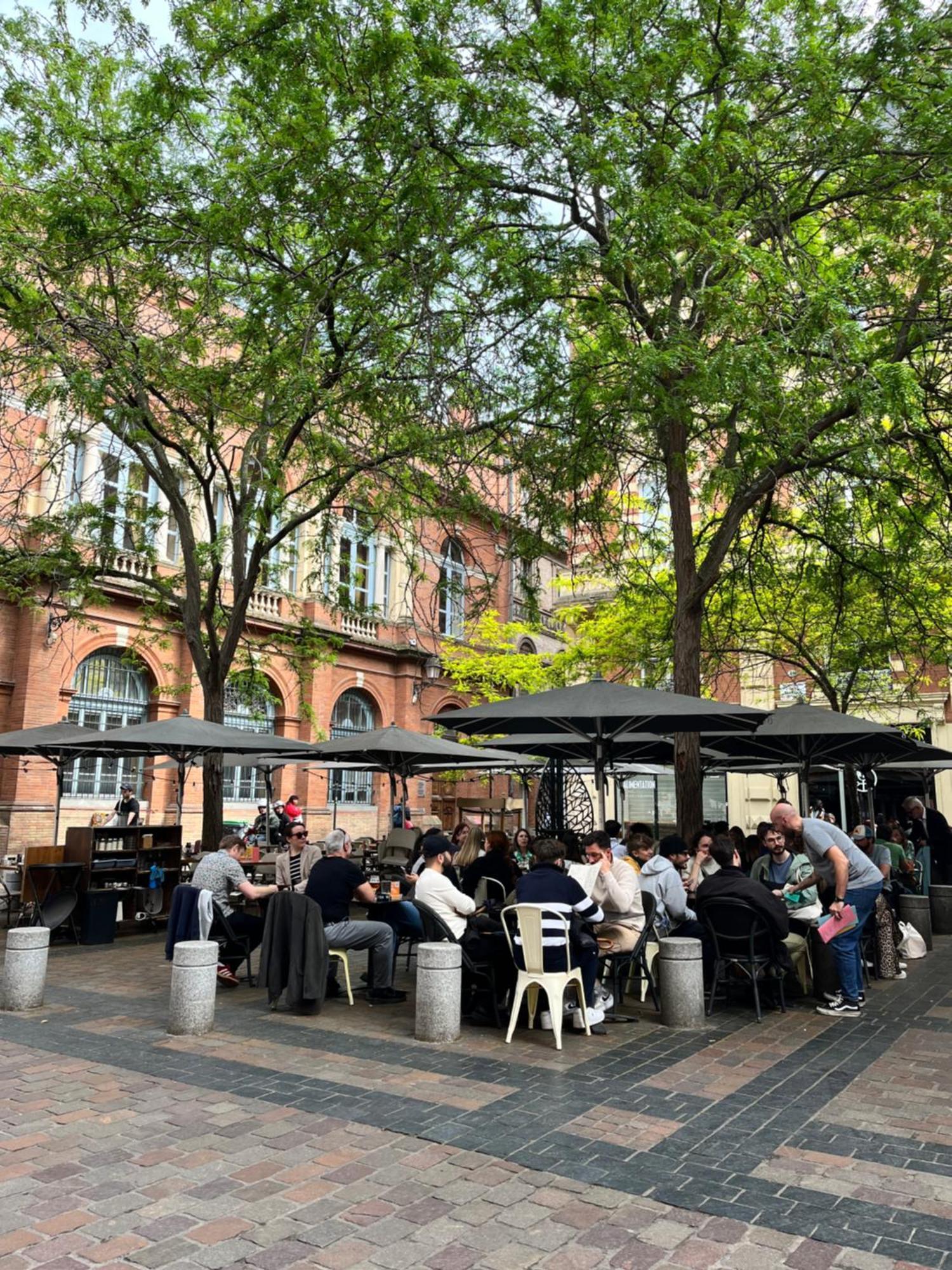 Le Petit Toulousain Chic Toulouse Dış mekan fotoğraf